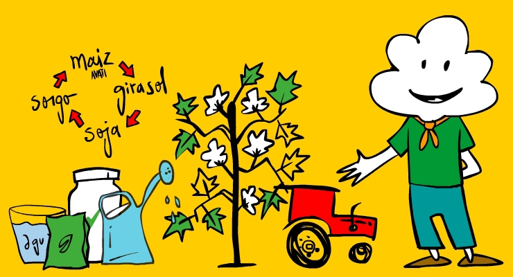 amia Monsanto algodon storyboard argentina