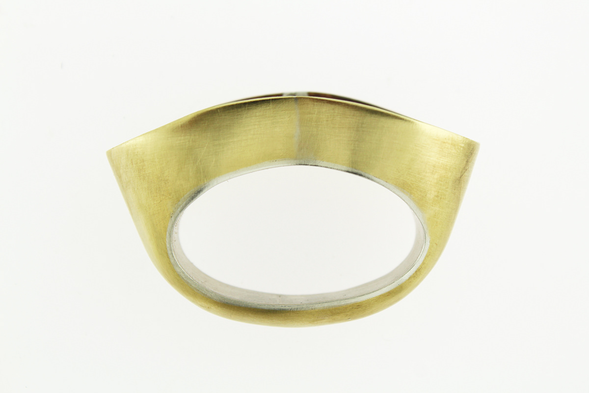 Signet ring Fur brass silver jewelry risd Two-Finger Ring