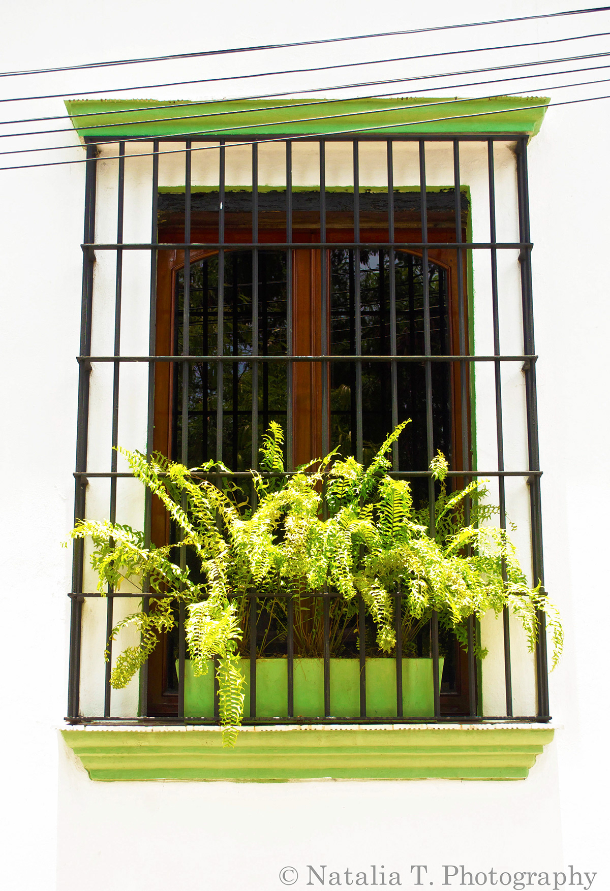 balconies Street Dominican republic historical sights windows