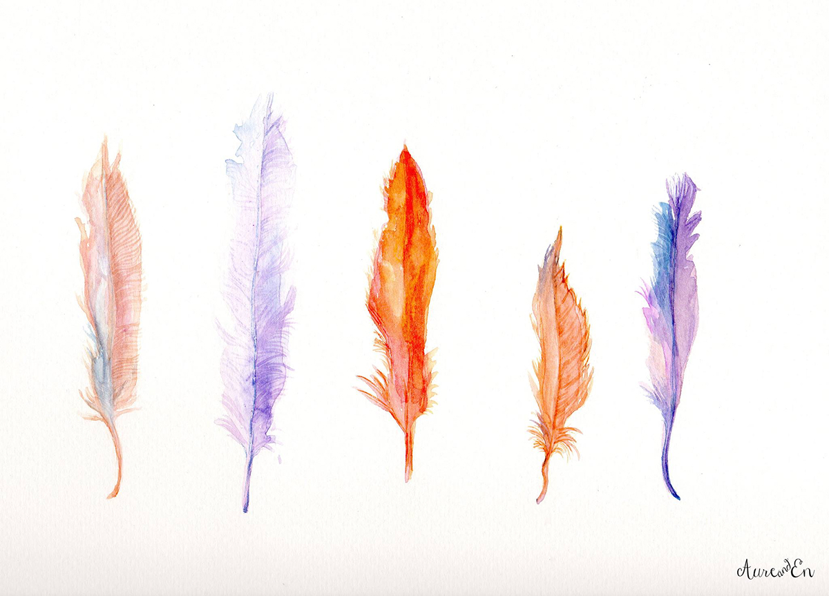 feathers watercolor warm and Cold Color