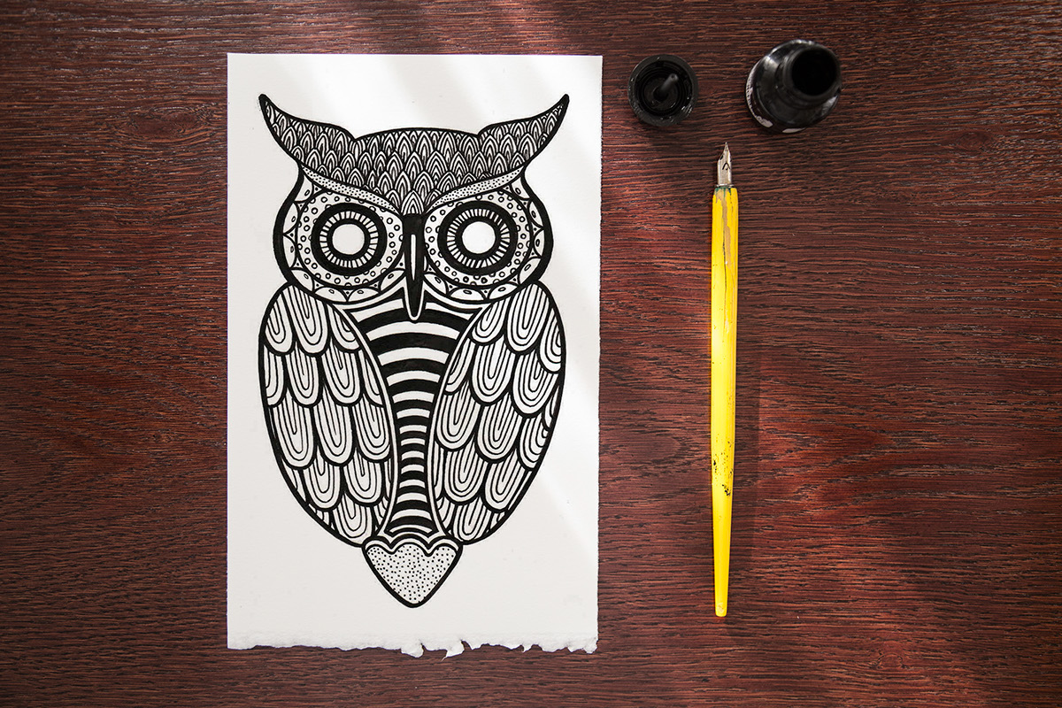 pen ink pen and ink hand drawing black and white owl owls art andreja pavicevic