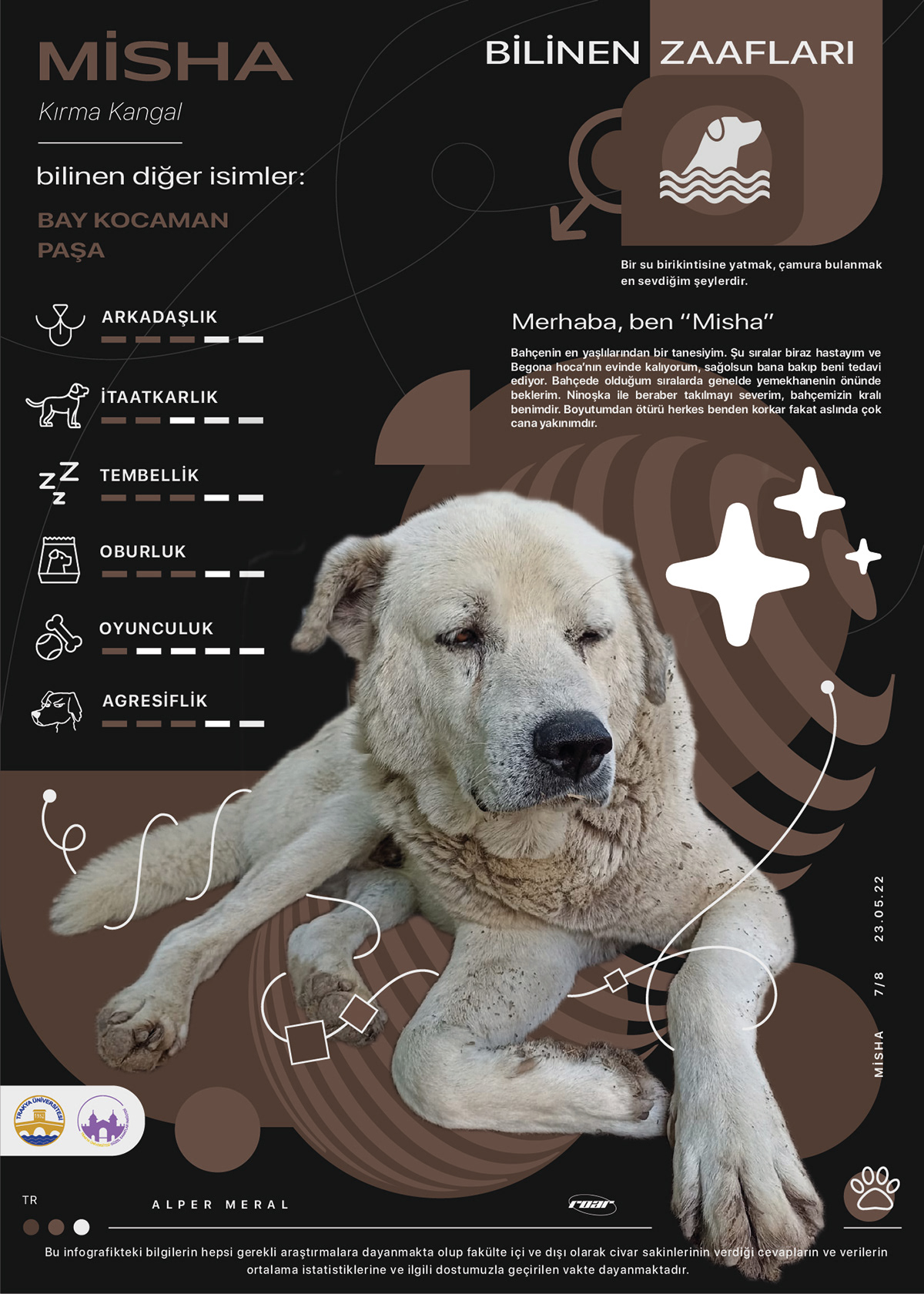 animals design graphics infographic infographics poster posters