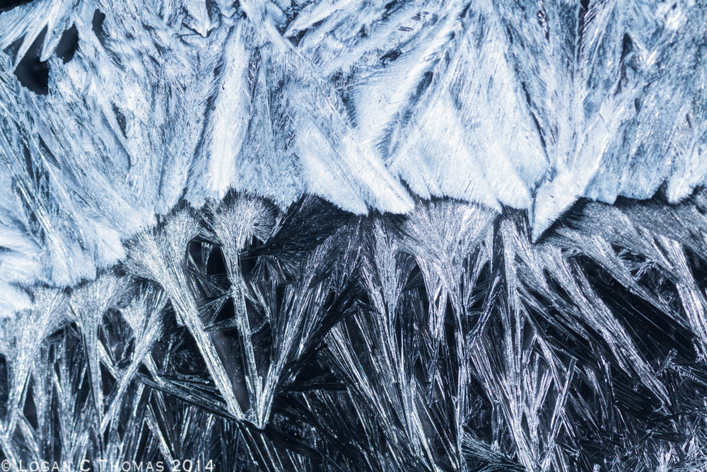 logancthomas Logan Thomas logan c thomas macrocosmos crystal formation frost Frosty blue cyan forming timelapse timelapses photograph photographer video