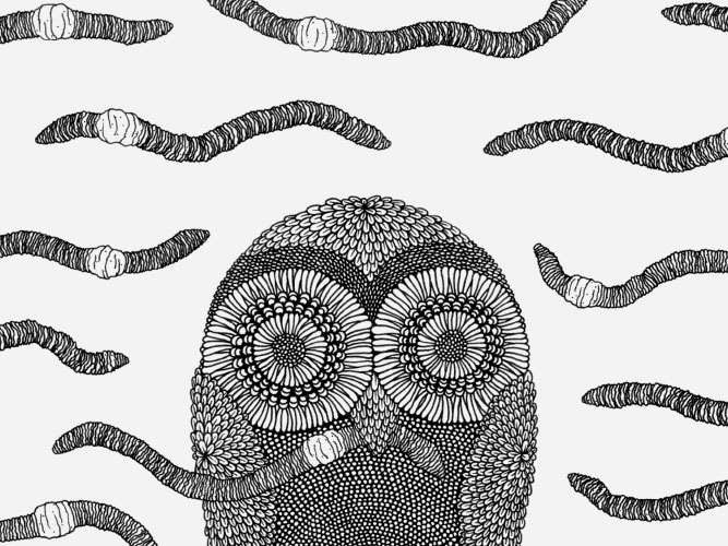 art handmade ink pen pen and ink draw magazine spread Nature organic bird owl Plant flower leaves