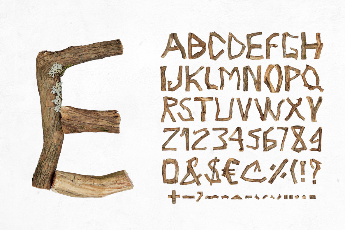 branch font Ecology forest lettering Nature Opentype Park Twigs font typography  