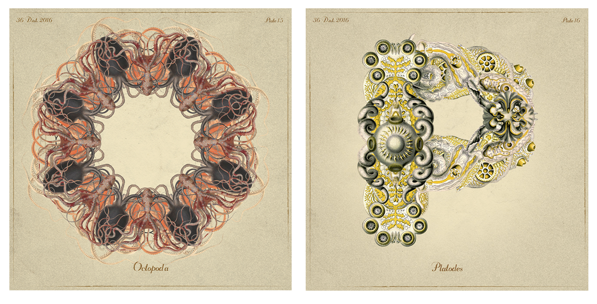 collage Digital Collage wacom Intuos vintage Retro adobe photoshop anatomy botanical 36daysoftype letters print