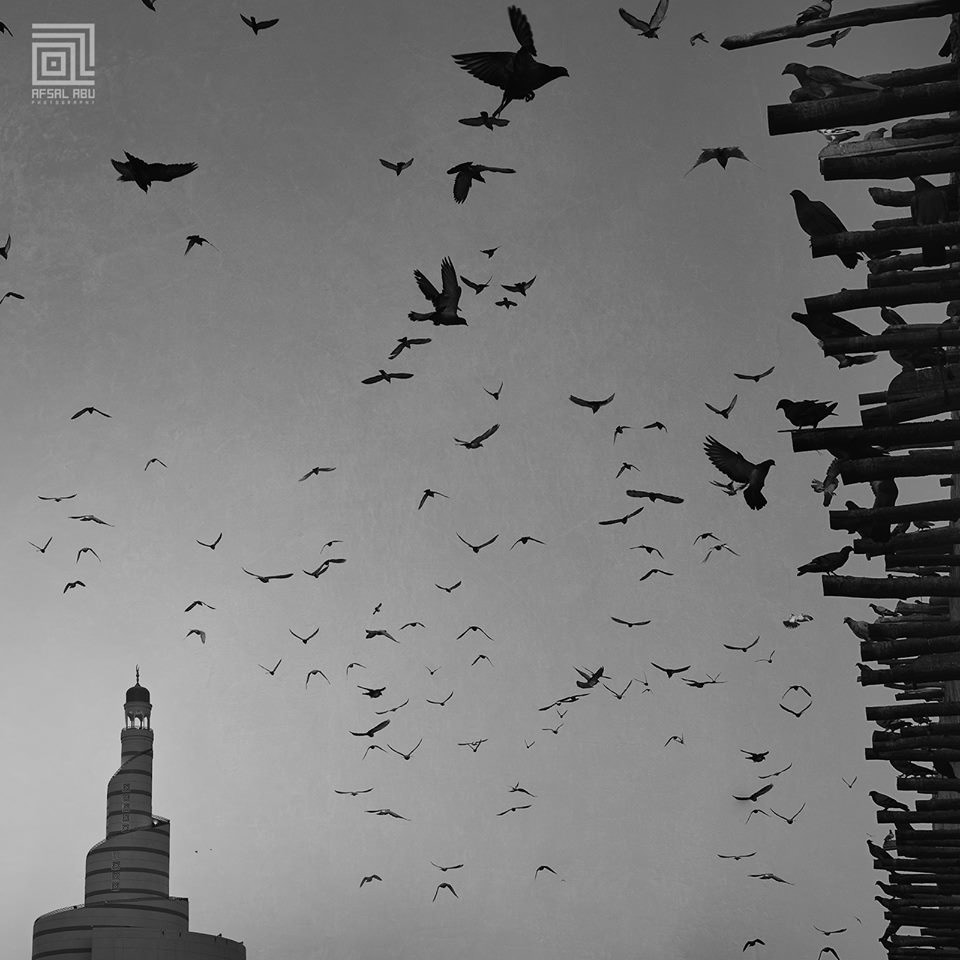 Qatar Photography Qatar doha afsalabu afsal corniche Doves mosque
