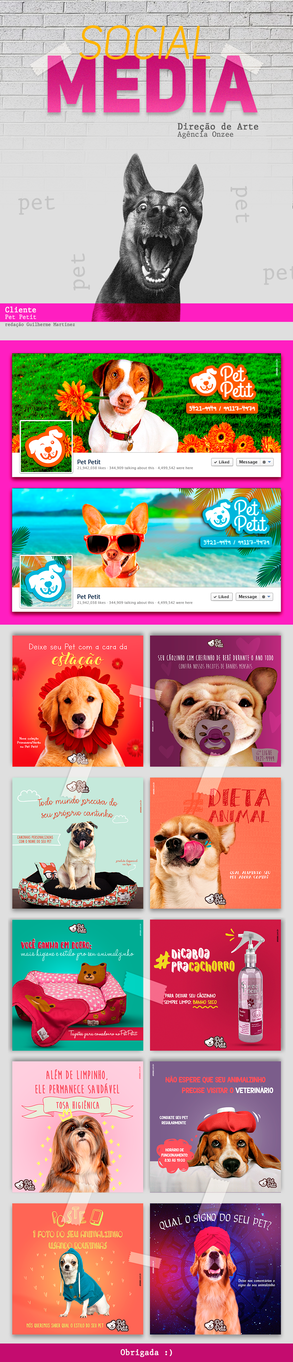 social midia social media Direção de arte Art Director Pet dog cachorros pet shop animais clinica veterinaria