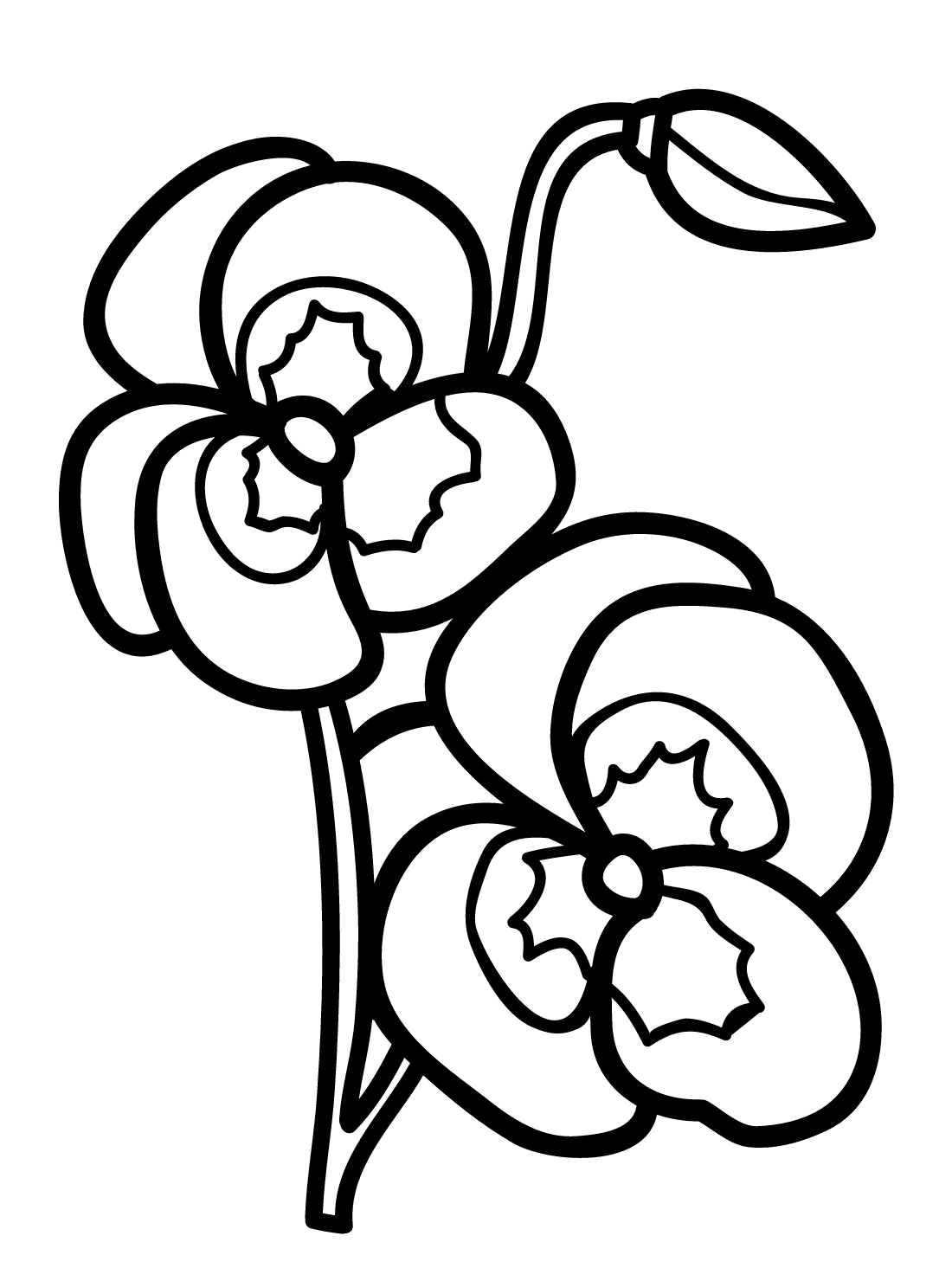 pansy flower Pansy Coloring Pages