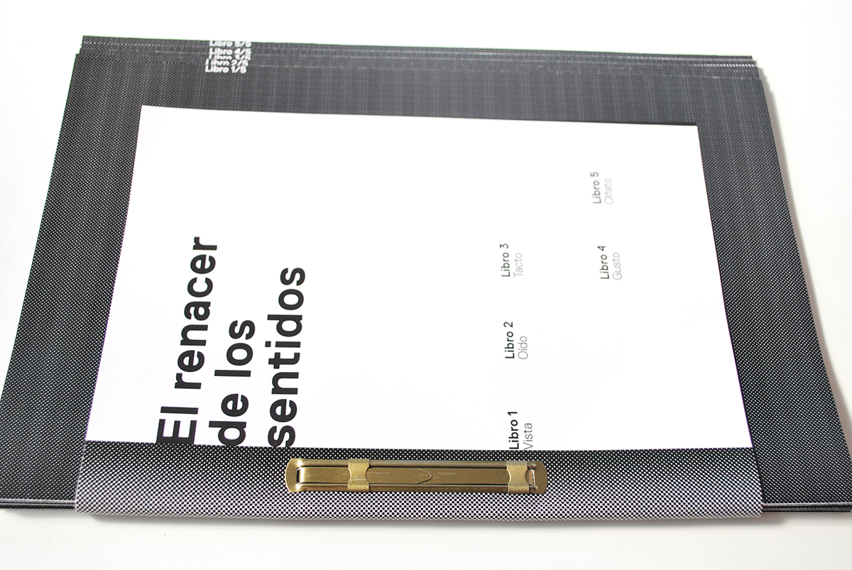 editorial design renacer Sentidos graphic design  brandbook senses reticula editorial design 