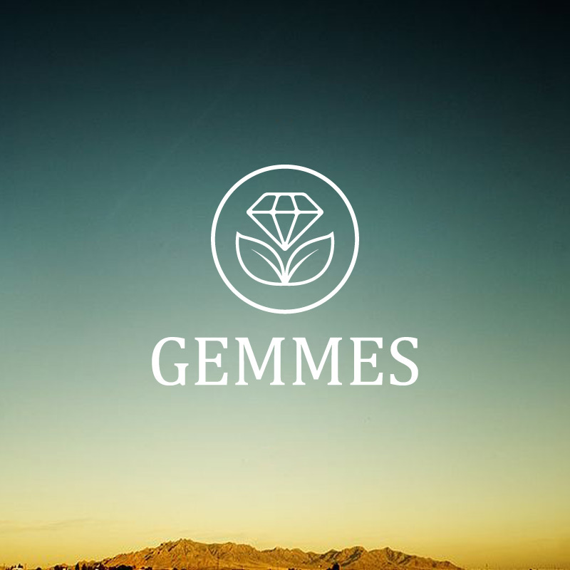 logo luxury diamond  gemmes Logotype