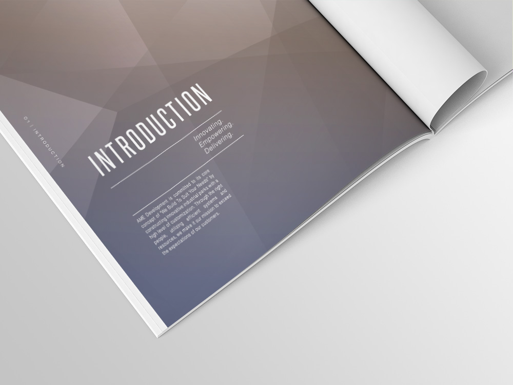 profile brochure graphic design  corporate property