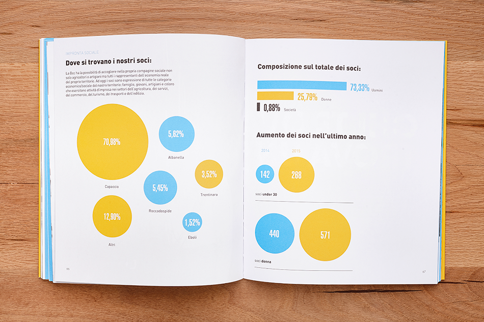 Bank BCC ANNUAL report editorial design infographic visual storytelling   Data brochure