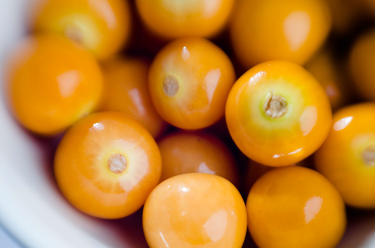 Alimentos lechuga tomatos bagel Fotografia Photography  producto proyecto boceto
