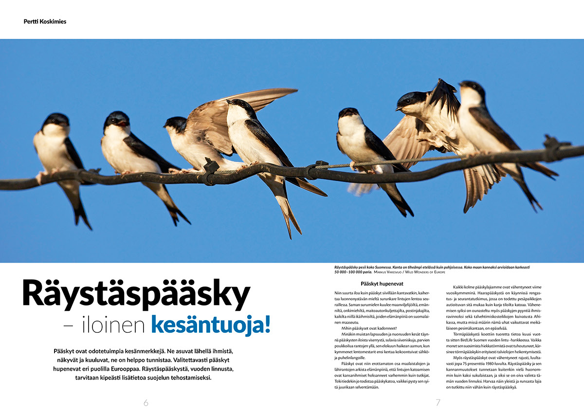 BirdLife Finland linnut magazine