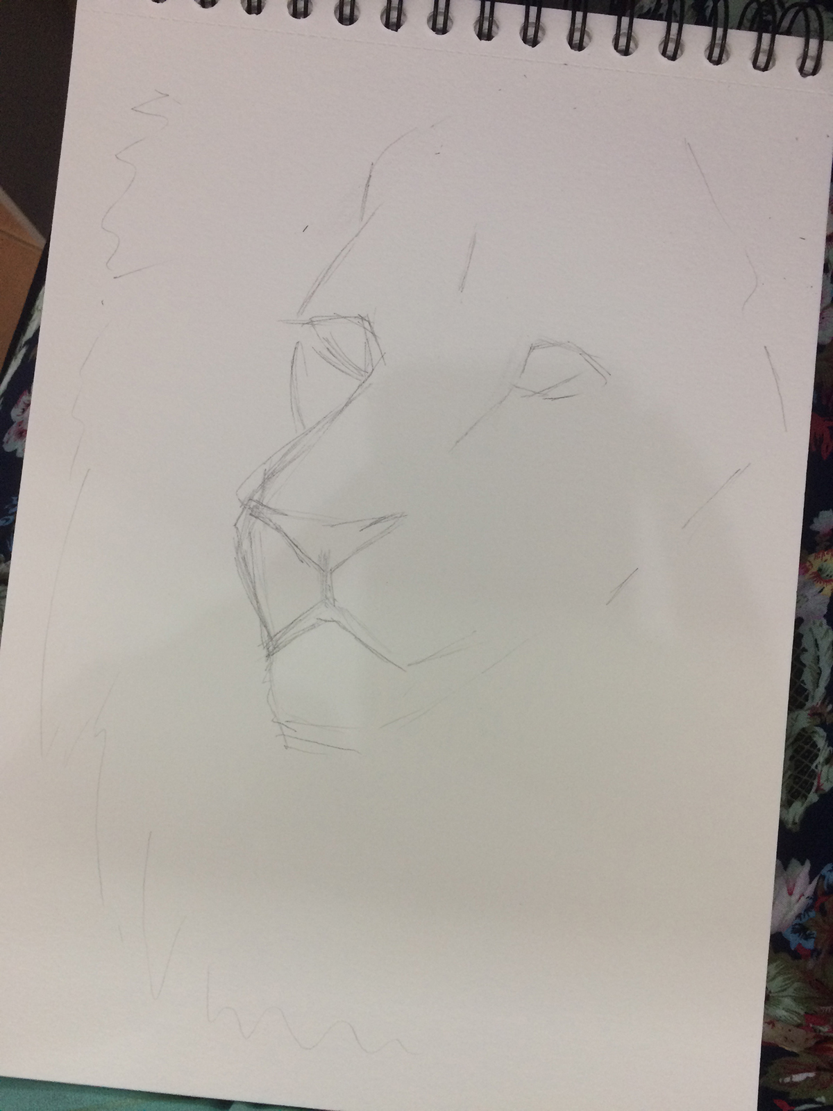 ILLUSTRATION  Drawing  art lion pontilhismo animal Pointillism