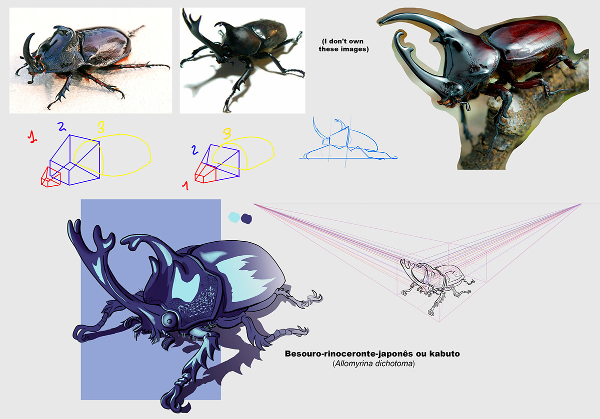 2dartist conceptart samurai ILLUSTRATION  DigitalIllustration digitalpainting adobephotoshop beetle fantasyart creaturedesign