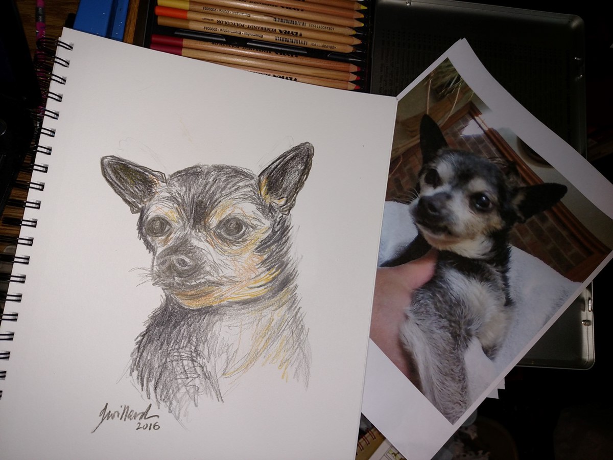 dog art Pet Portrait colored pencil dogs drawings family pet