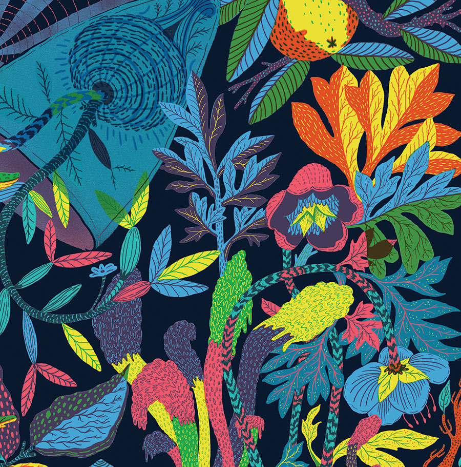 plants Nature Illustrative draw paint botanical scientific illustration ad campaign