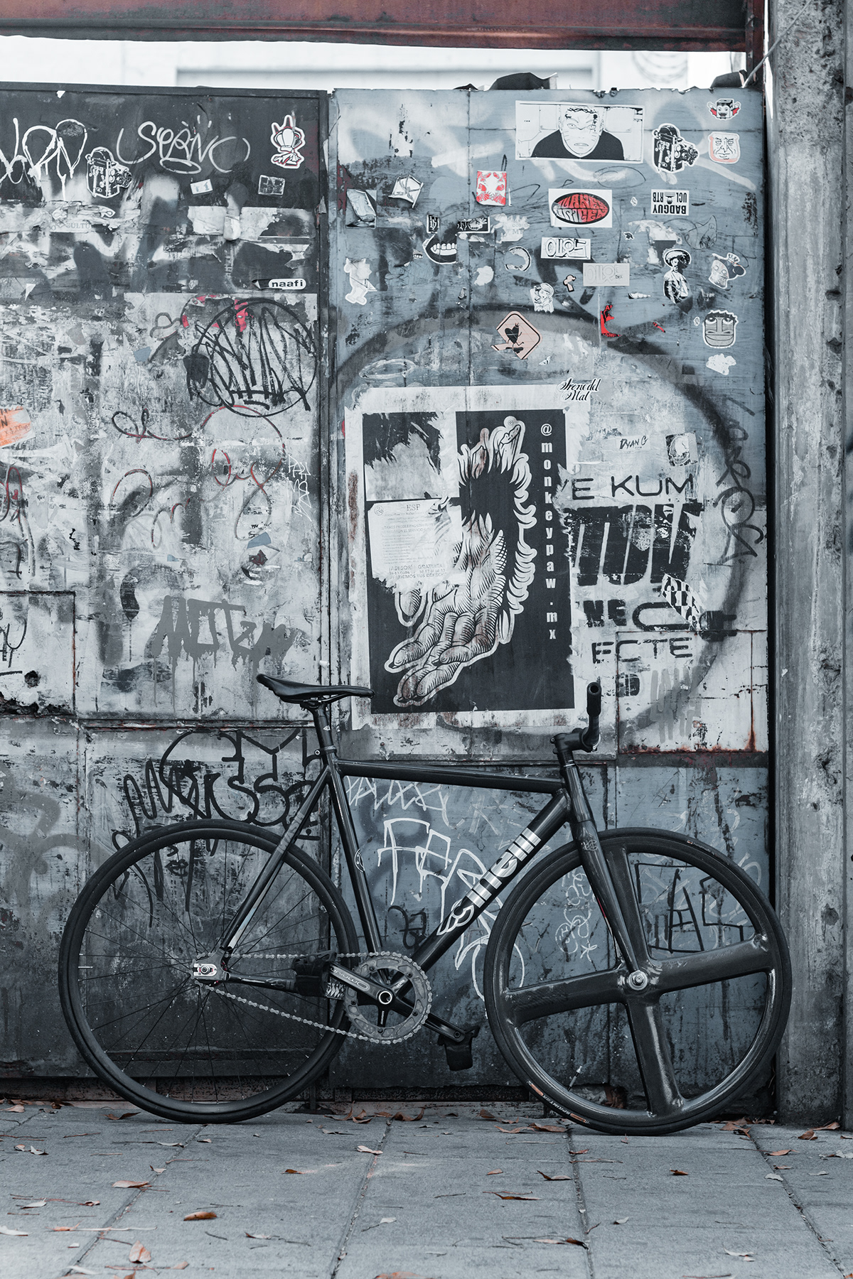 fixie fixed gear Bicycle Cycling Photography  photoshoot cinelli portrait
