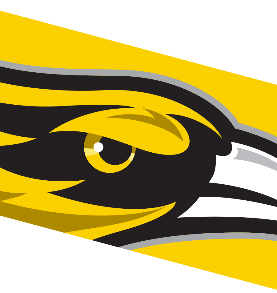 public schools Mascot sports athletics owl talon horse wolf Education reform Phoenix Trailblazer Low-income college