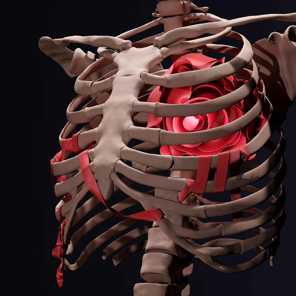anatomy Digital Sculpting Zbrush rose heart