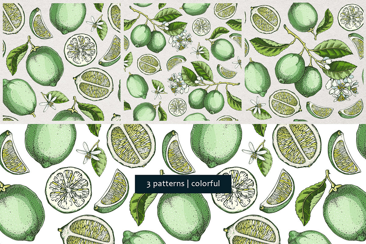 lime sketch mixed media hand-drawn botanical illustration seamless pattern vector Digital Art  Citrus Fruit Exotic plants