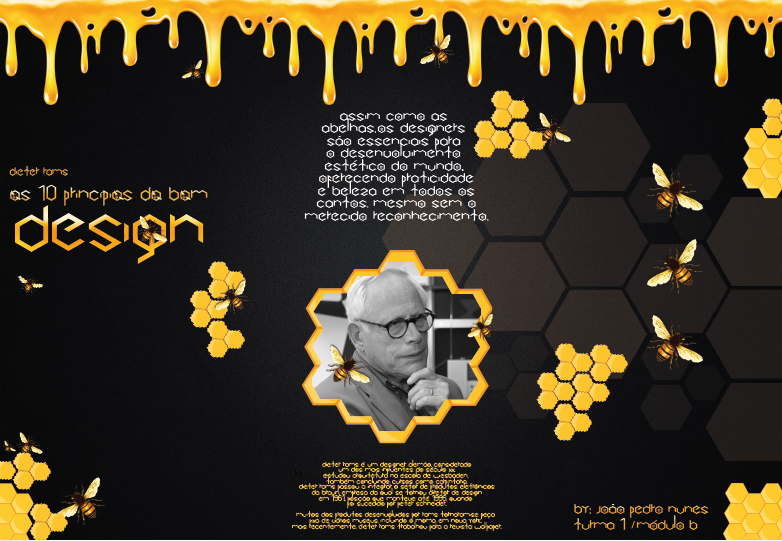folder abelha bee design gráfico abelhas mel honey