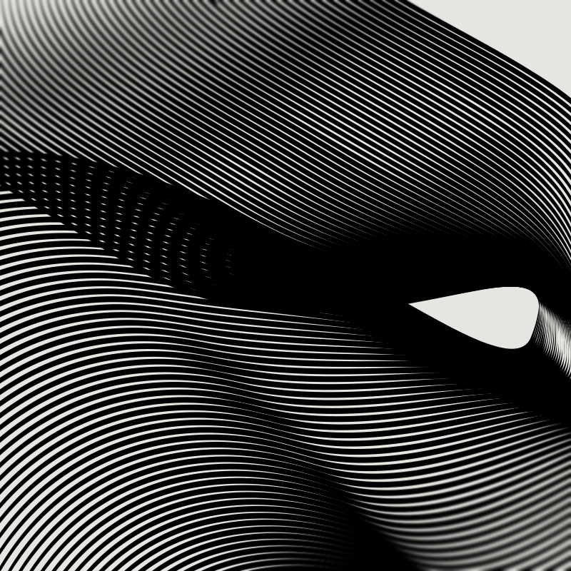 Adobe Portfolio moire line art animals blending minimal