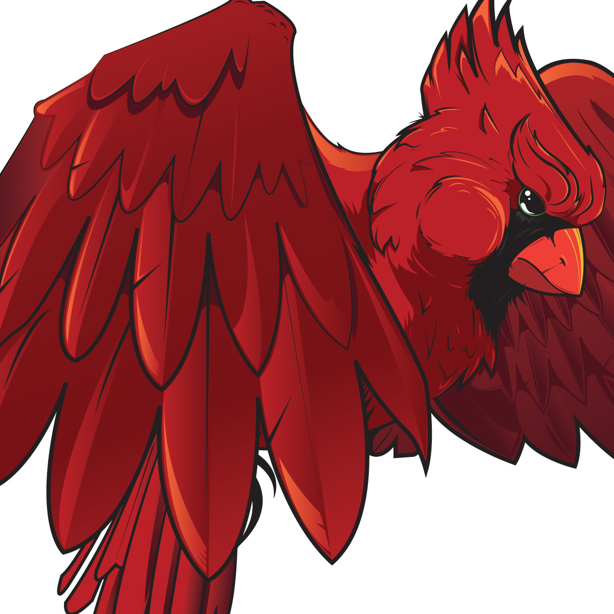 cardinal bird birds red vector "pen tool" Illustrator art graphic "Graphic Design" cartoon feathers illustrating