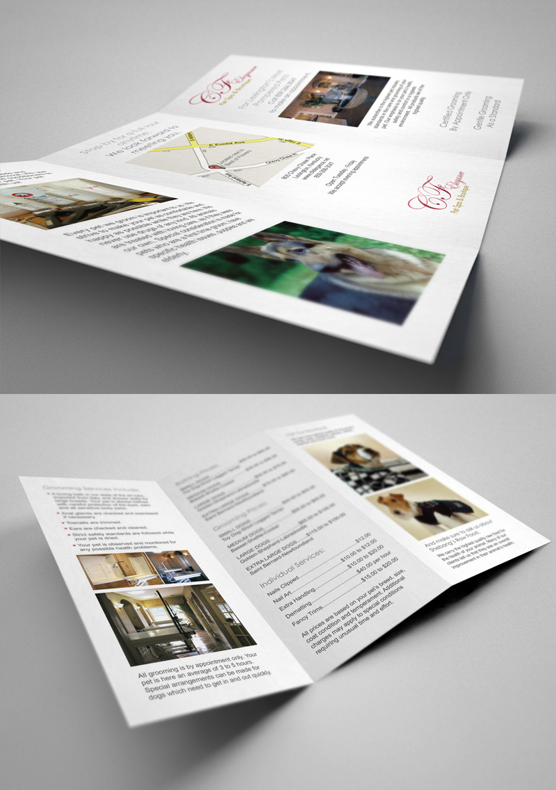 brochure Business Cards print