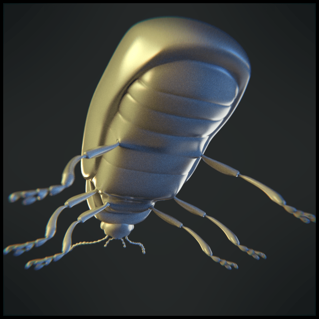 3D beetle macro