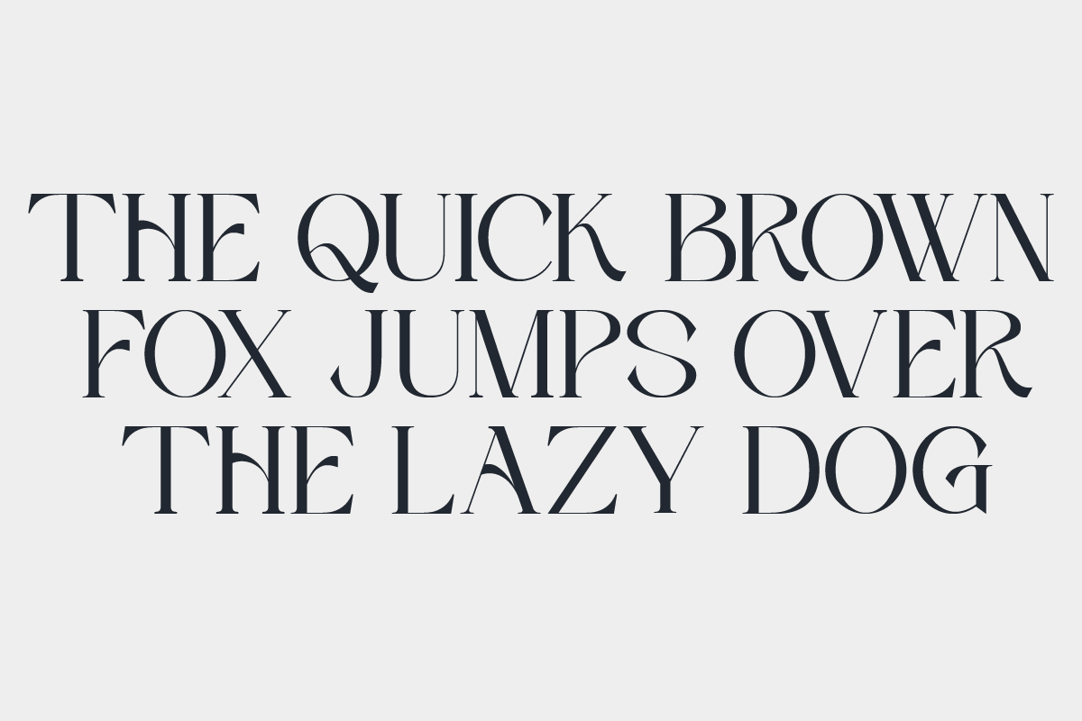 modern chic contemporary font Ligatures clean pretty stylish font serif typeface  fonts aesthetic magazine style. Canva