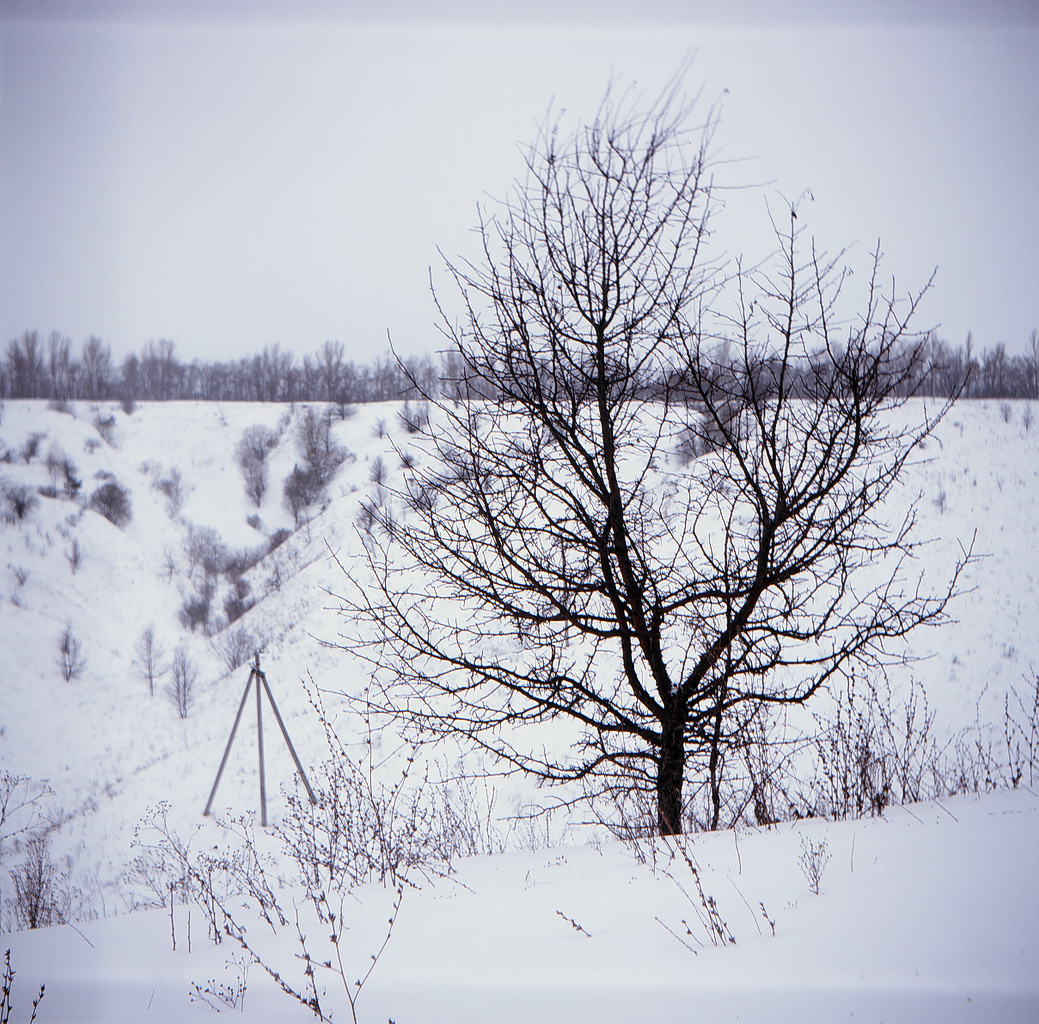 Lomography   Fujifilm Velvia Professional camera «Lyubitel' 166» Belgorod trip Russia lomo winter