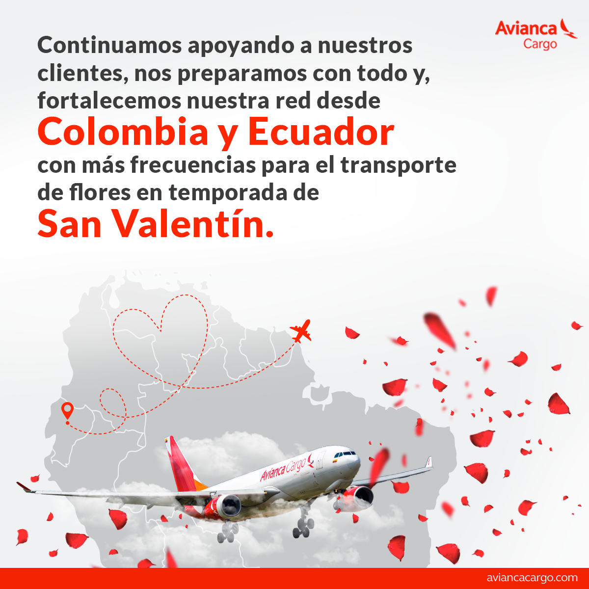 Avianca Avianca Cargo diseño gráfico publicidad marketing   redes sociales graphic design 