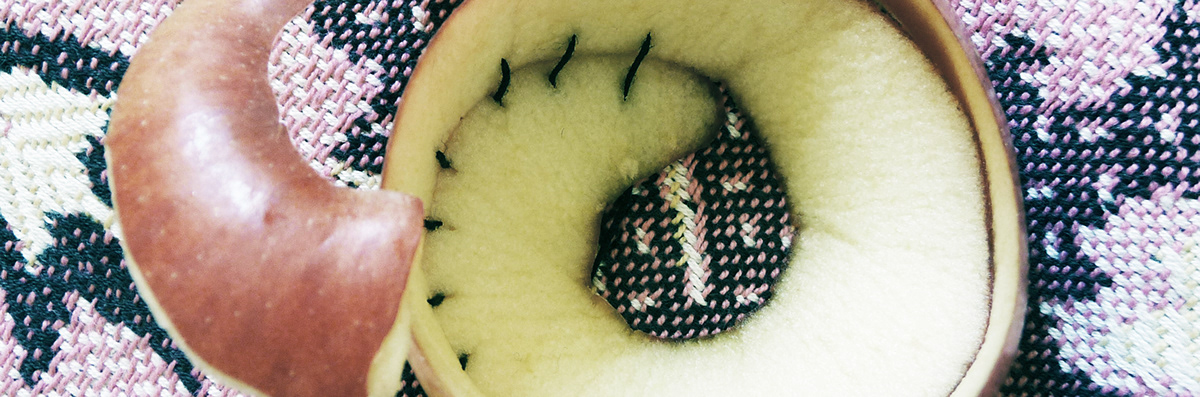 photo Fruit banana apple tangerine Pear thread sewed