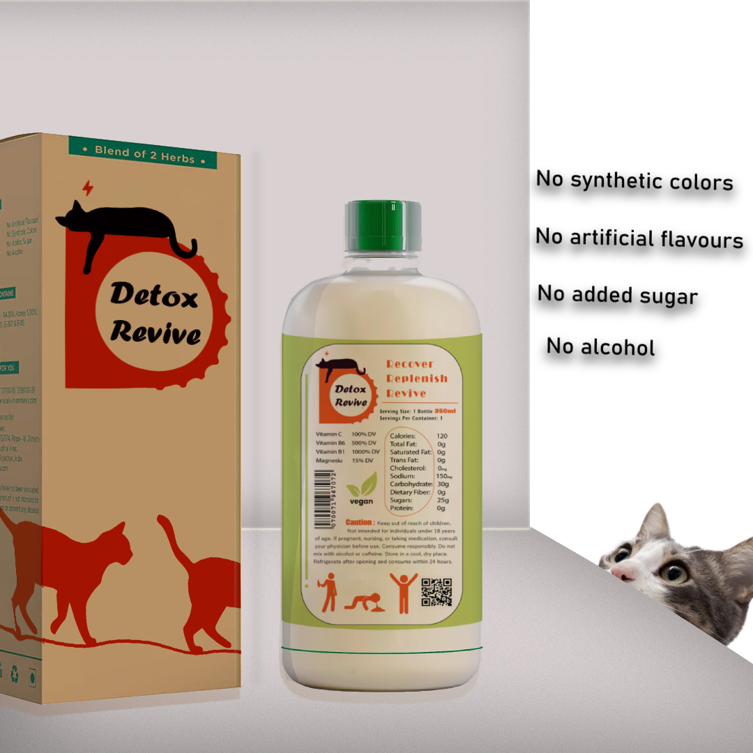 Detox Drink bottle design Packaging brand identity Logo Design visual identity Brand Design branding  Graphic Designer hangover