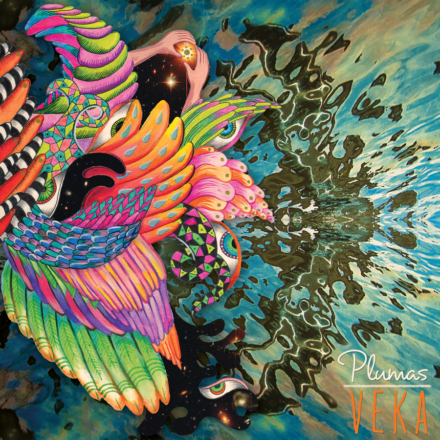 album cover album art psychedelic surreal feathers Plumas VEKA hand made hand done Collaboration berlin karachi electronic music hearnowrecords collage