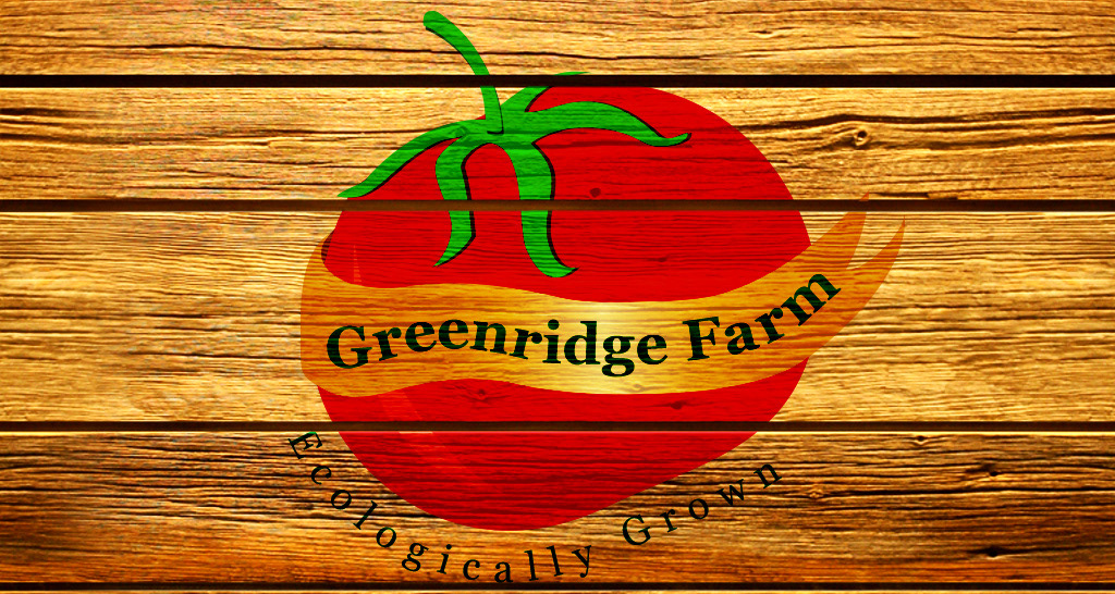 logos color shape type green ridge flower wine logo assortment