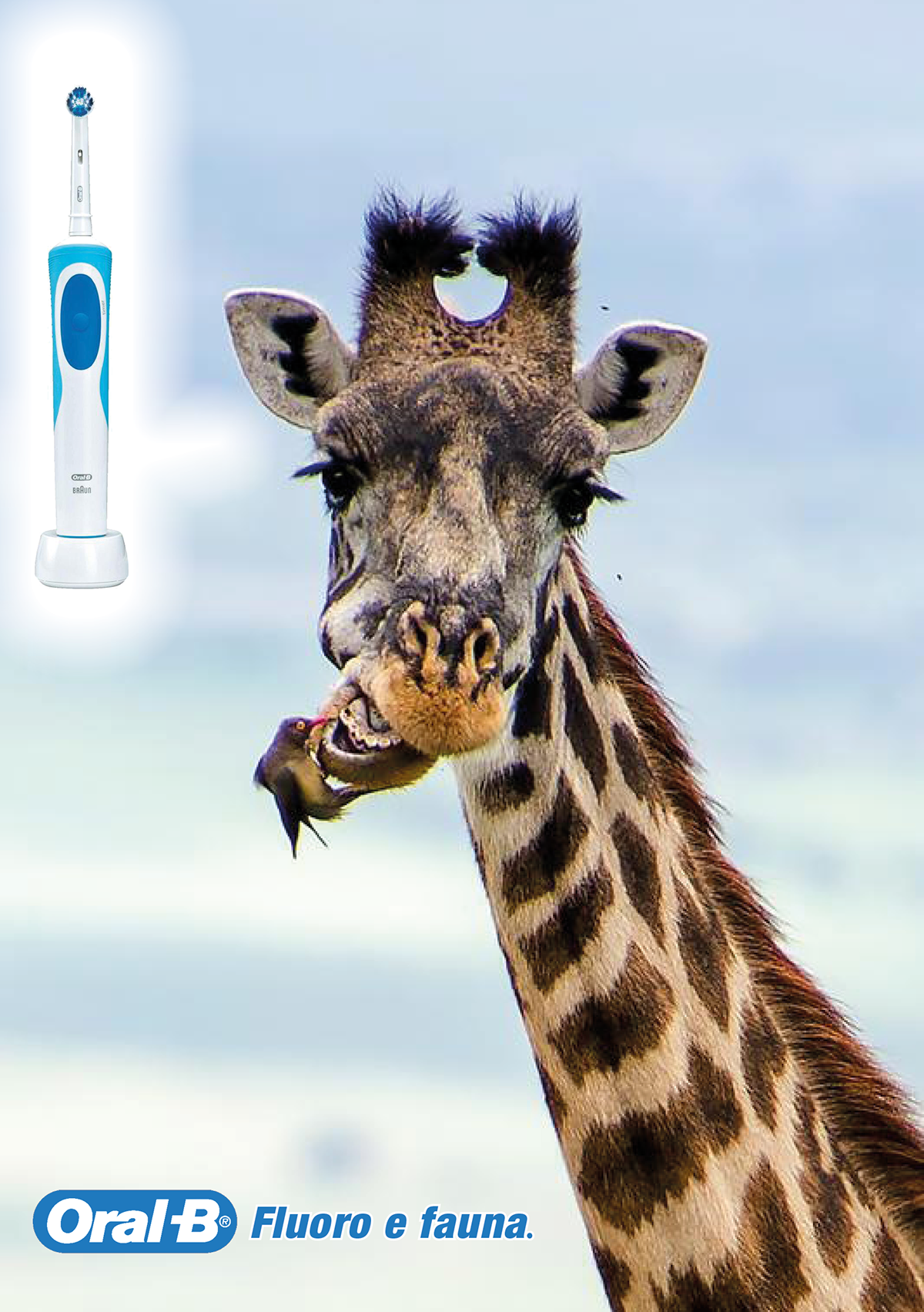 fluoro Flora fauna spazzolino denti dentifricio filo interdentale Coccodrillo giraffa uccelli Mutualismo simbiosi igiene orale salute Orango