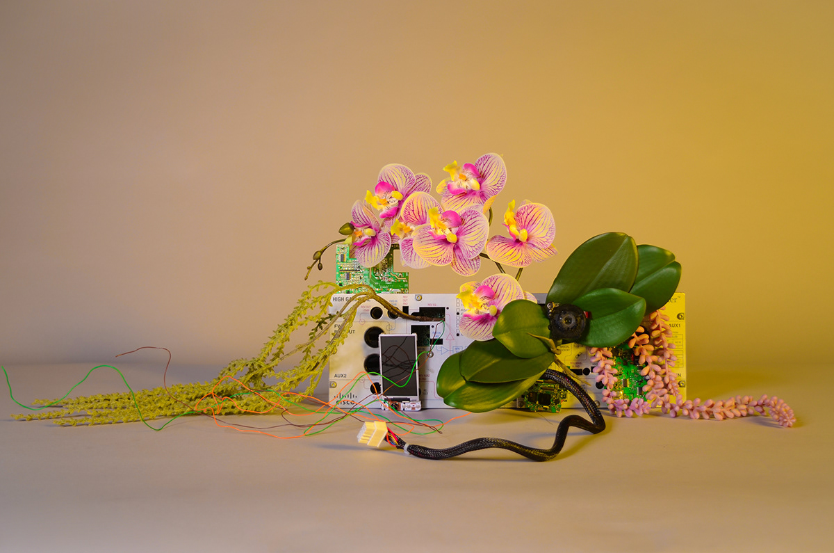 Cyberpunk floral Flowers soundscape