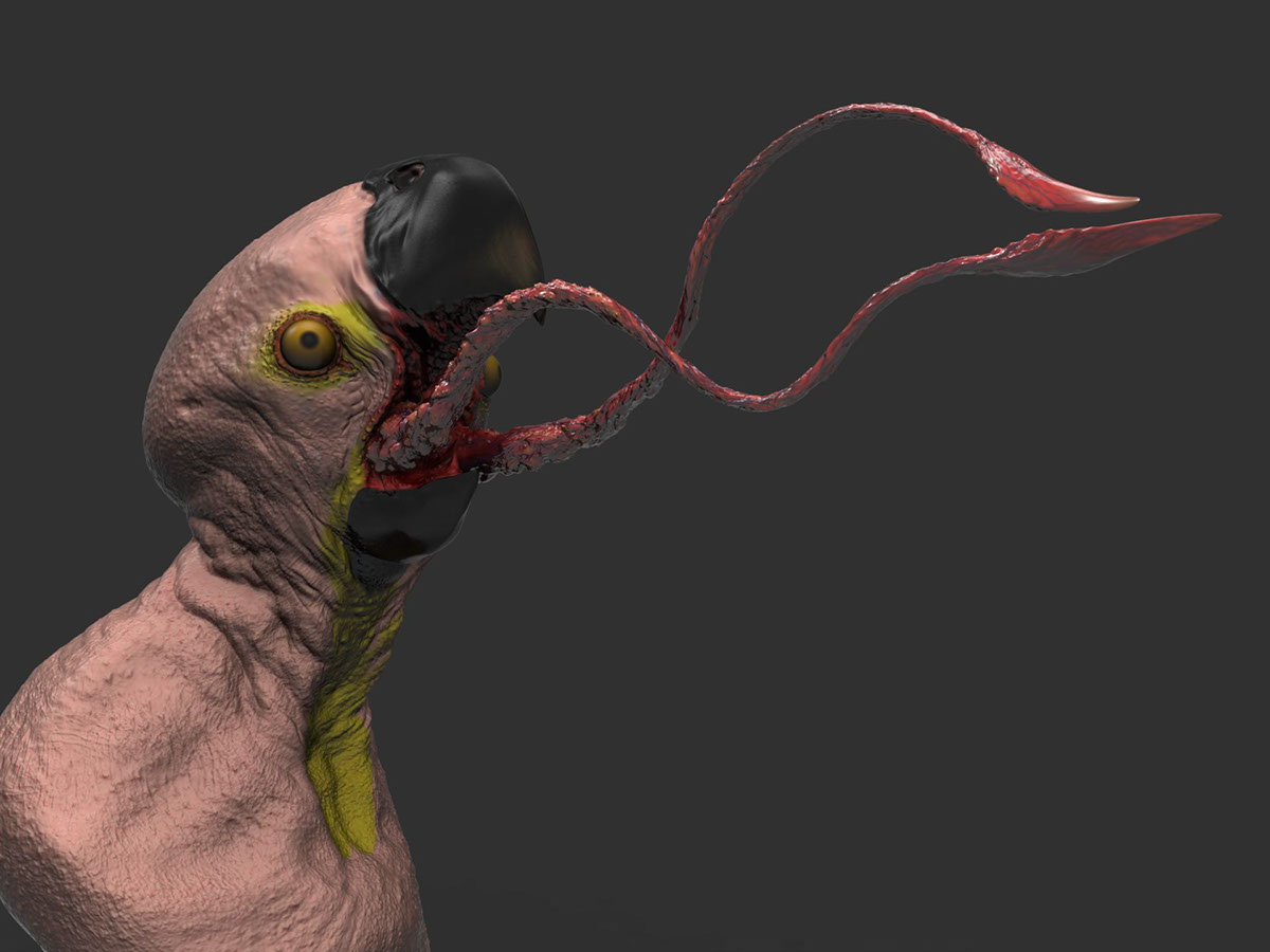 Zbrush keyshot CGart creaturedesign macaw creature conceptart 3D