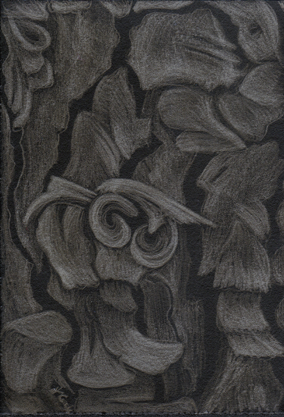metalpoint    silverpoint   drawing nature-based