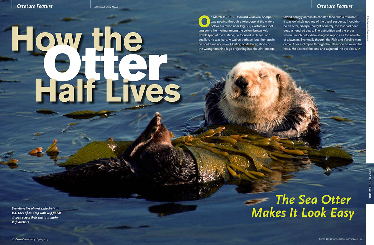 Ocean Conservancy magazine print publication