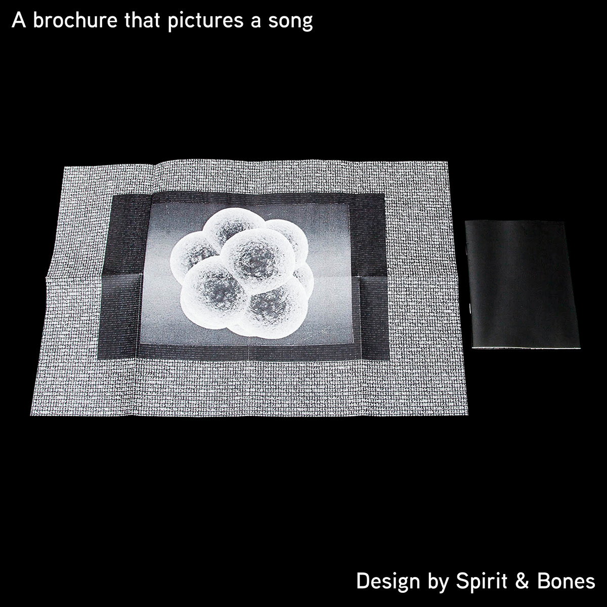 editorial design  collage graphic design  broschur Lena Schmidt picture a song Adobe Portfolio
