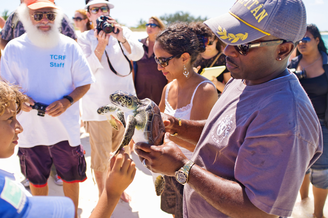 Ecology Nature conservation turks and caicos