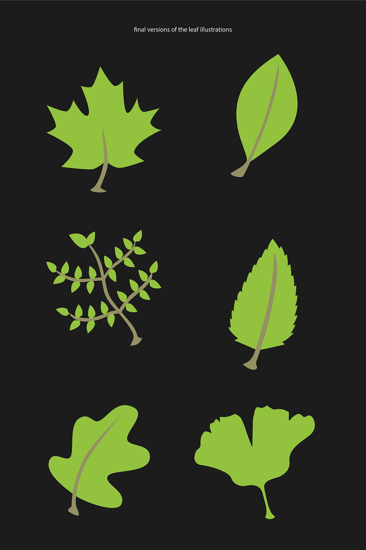 leaf leaves Nature trees chicago poster infographic informational graphic
