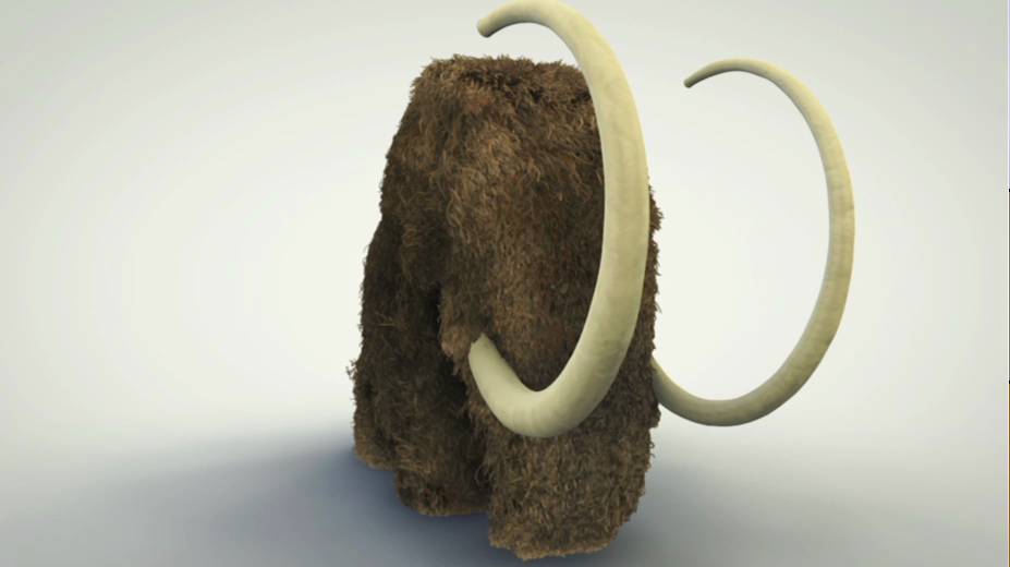 mammoth mamut cinema 4d Ae chininho 3D Guadalajara simple sleek animal desing graphics motion