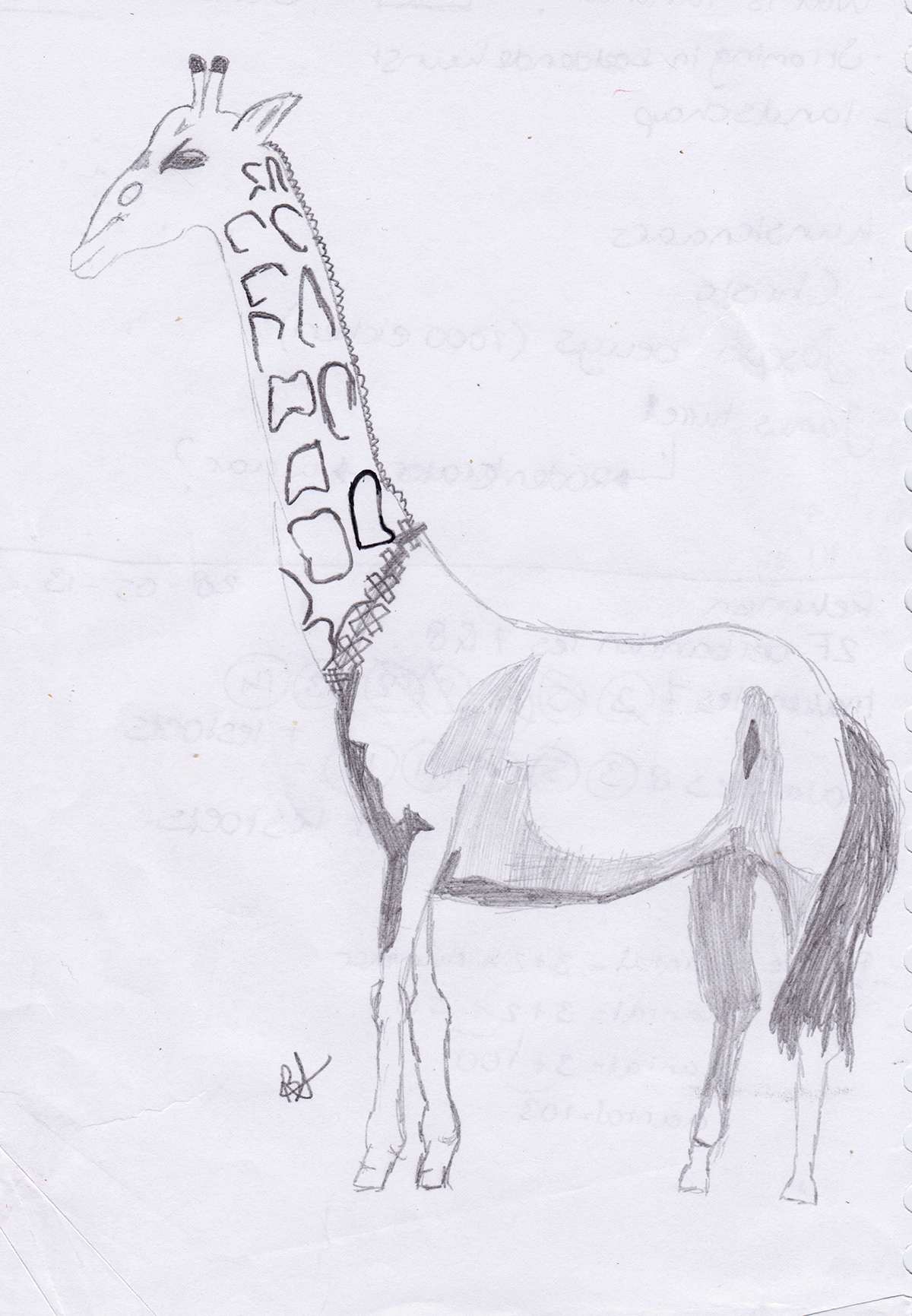 giraffe horse Illustrator