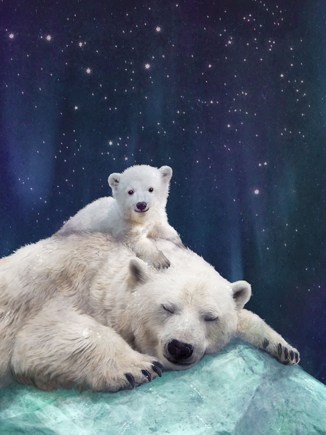 mom and baby long winter's nap. Christmas xmas Holiday winter festive iceberg snow Arctic ursa major bears cub